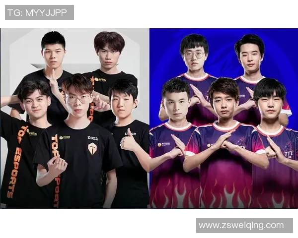 王者荣耀TES战队技术分析与战术探讨的深度研究与展望