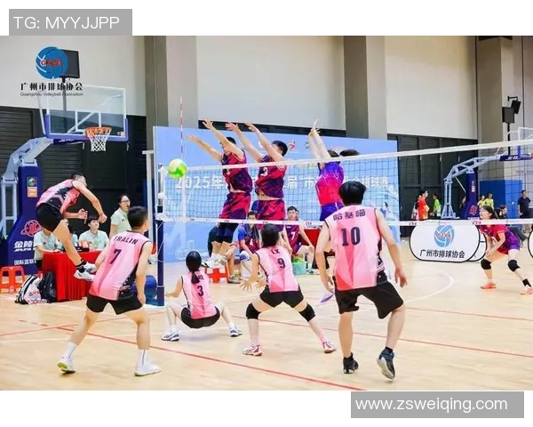 广州排球队状态变革引发热议球迷期待新赛季的精彩表现与突破