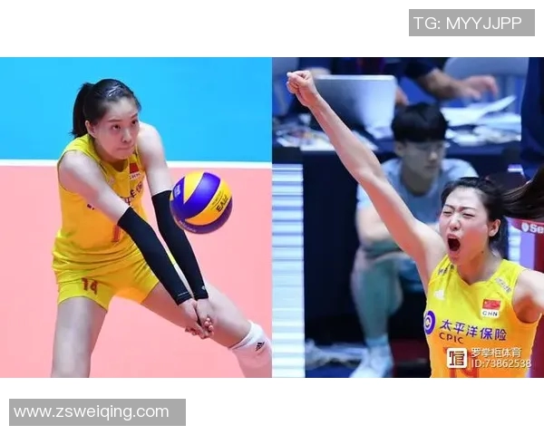 广州排球队实力对比深度解析与未来发展趋势探讨