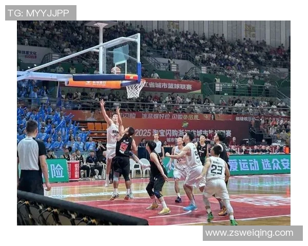 杭州排球队实力深度解析与对比分析全景展望