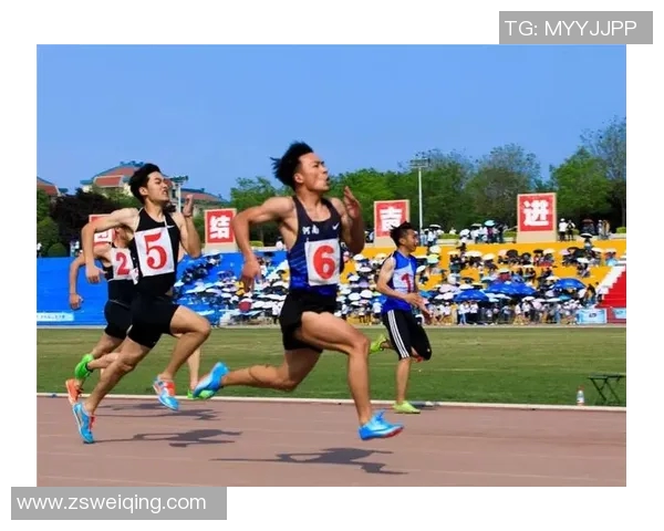 南京排球队的比赛经验揭秘：从训练到赛场的全方位探索与分享