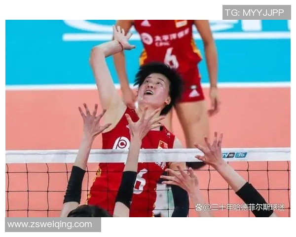 杭州排球队灵活性引发热议球迷对战术调整看法不一